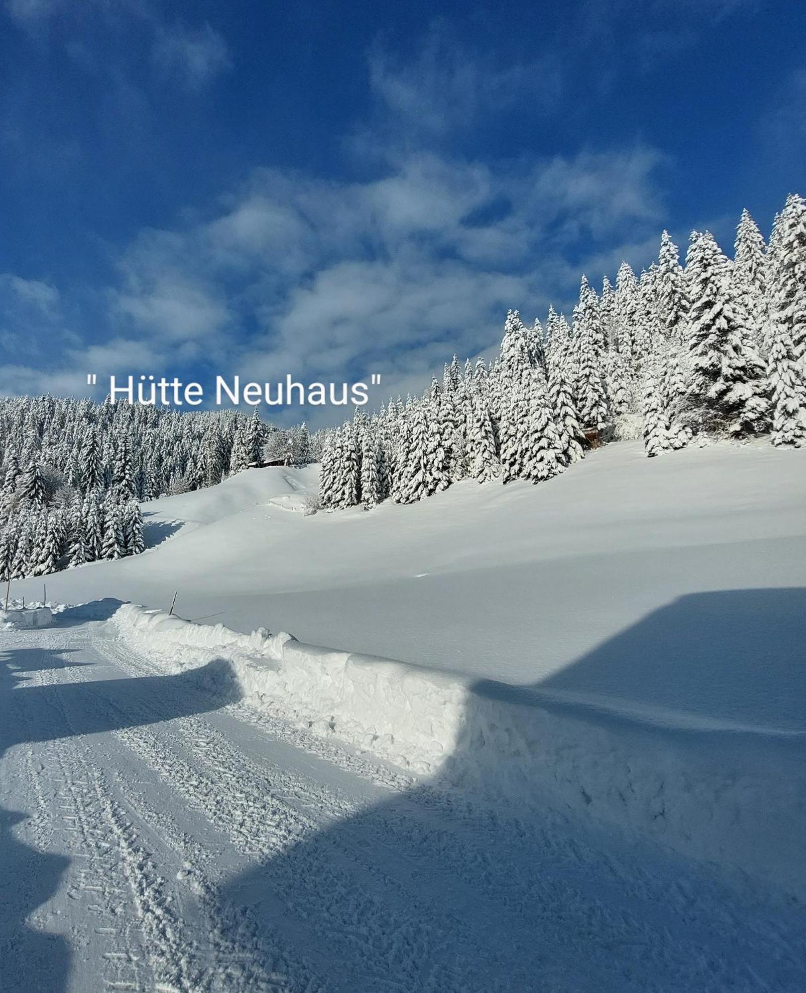 Huette Neuhaus Villa Annaberg im Lammertal Exterior photo
